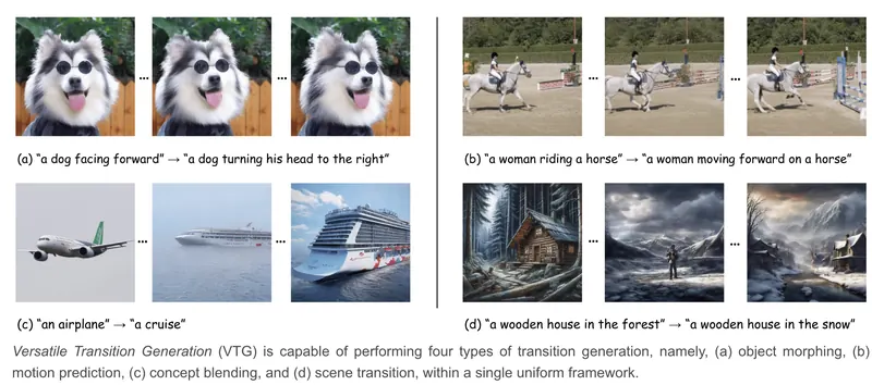 Versatile.webp