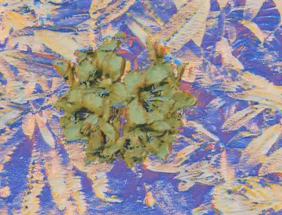 stylerf.webp